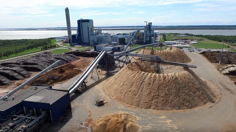 imagen de El gobierno defiende a UPM en Finlandia y destaca que la compañía solo tomó “ventaja” de los beneficios a su alcance