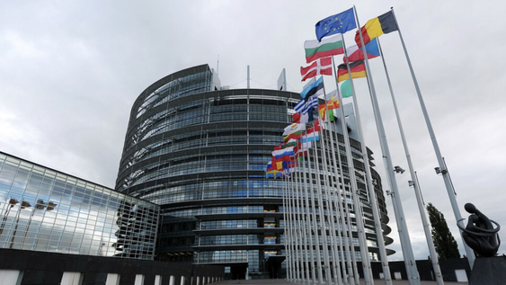 Parlamento europeo. Parlamento europeo.