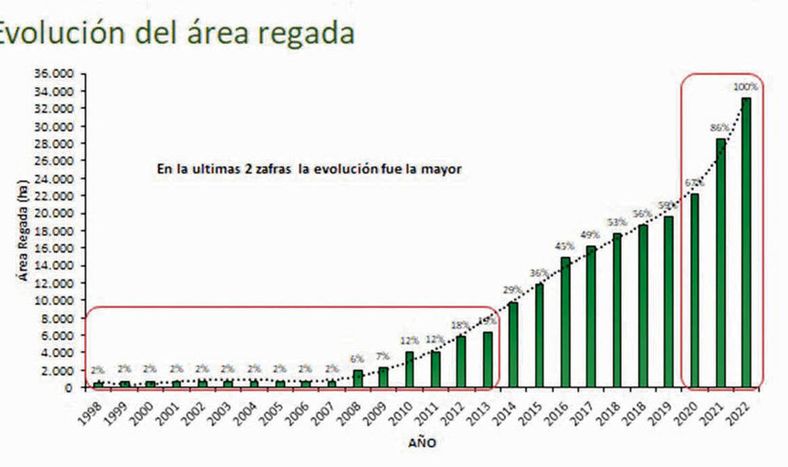 Gráfico de la evolución del área regada elaborado por Agro de Búsqueda.