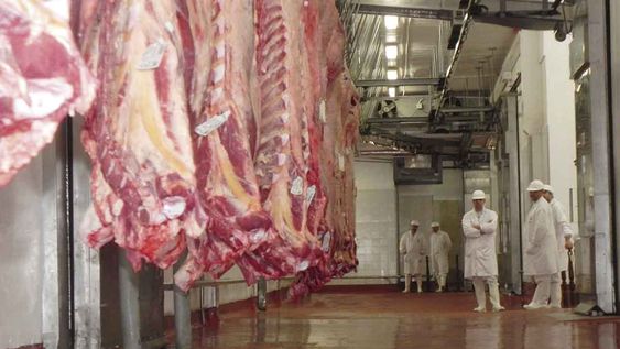 China, el principal mercado, está comprando menos carne uruguaya China, el principal mercado, está comprando menos carne uruguaya