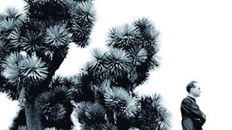 Búsqueda | 57574.jpg