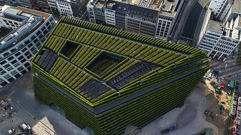 Búsqueda | 823054.jpg