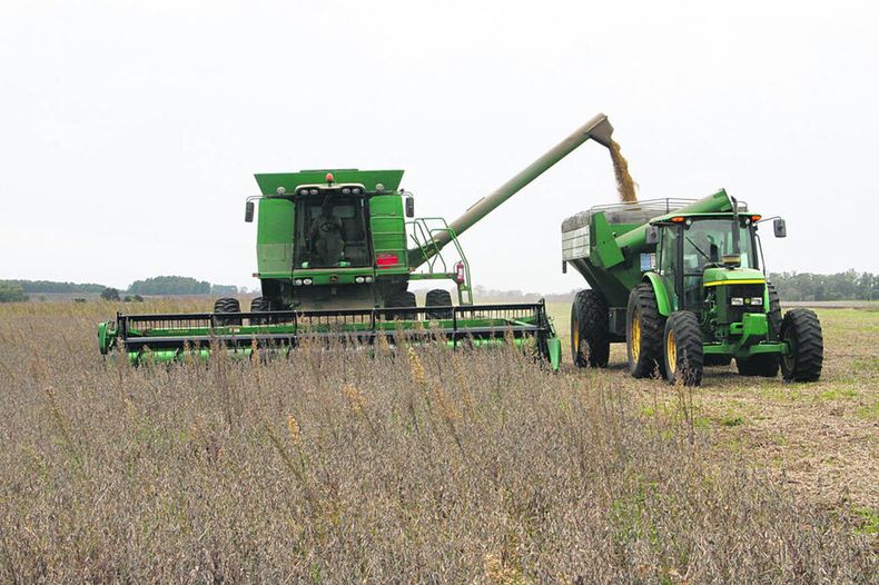 Los productores argentinos vinieron a Uruguay para la cosecha de soja, que coincidió con el inicio de la emergencia sanitaria por el coronavirus. Foto: Nicolás