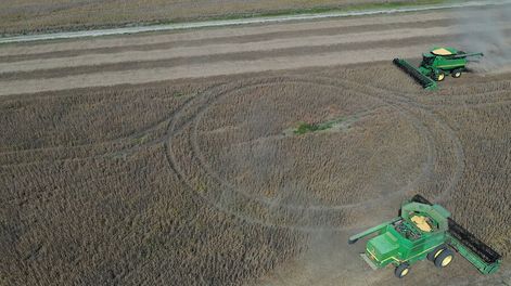 Foto: Pablo La Rosa / adhocFOTOS