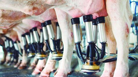 En moneda constante, el poder adquisitivo de las empresas lecheras fue 47% superior al promedio de los últimos 10 años.