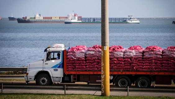 Transporte de carga en la rambla contigua al parque Capurro.&nbsp;