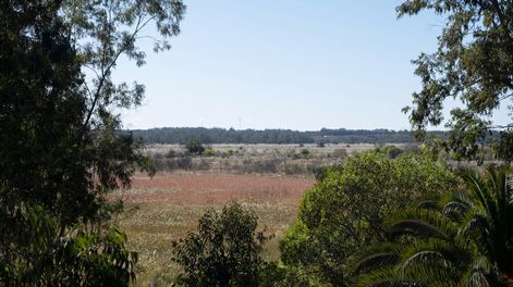 Humedales de Santa Lucía.