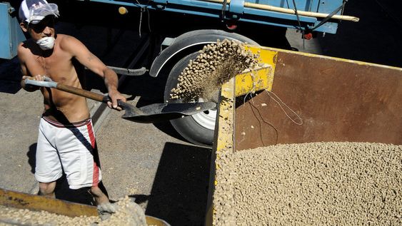 Foto: Javier Calvelo / adhocFOTOS Foto: Javier Calvelo / adhocFOTOS