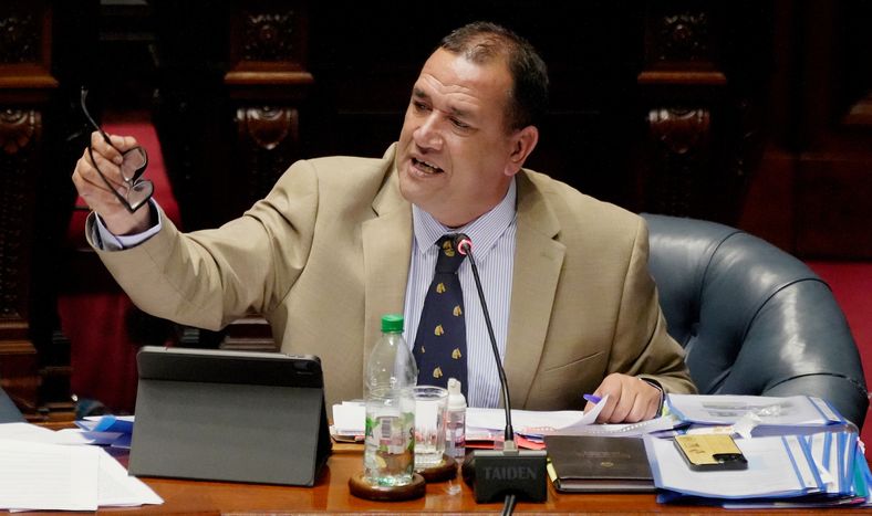 Senador Sebastián Da Silva durante la interpelación al ministro de Ganadería, Alfredo Fratti, el miércoles 13