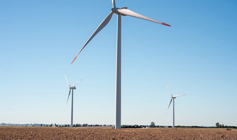 Foto: Ricardo Antúnez / adhocFOTOS