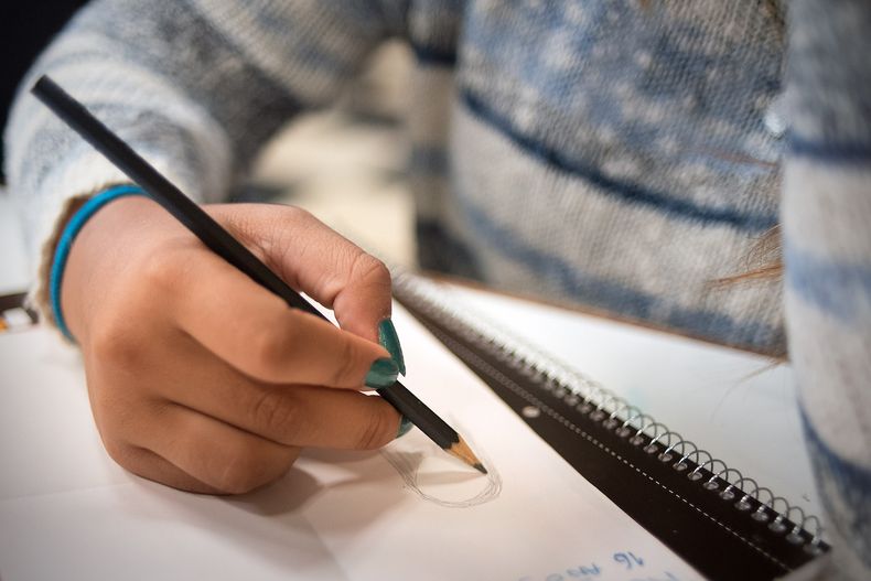 Estudiante de Secundaria.