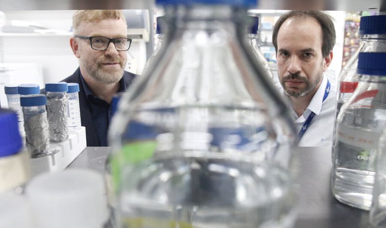 imagen de Un descubrimiento de uruguayos y argentinos abrió un nuevo camino para intentar curar el cáncer y combatir tumores