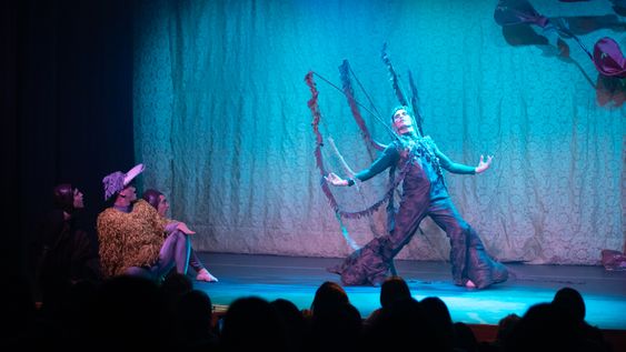 el ballet infantil que invita a descubrir la flora y fauna uruguaya el ballet infantil que invita a descubrir la flora y fauna uruguaya