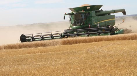 imagen de Se precisa “mejor” información para desarrollar coberturas de riesgo en el agro uruguayo, reclaman aseguradoras privadas