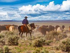 La escasez de carne en Estados Unidos, y el alto precio que ya es récord, pueden ir más arriba