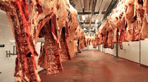 El Inac sólo apoyará programas en línea con su plan estratégico, que pretende aumentar la producción de carne. Foto: Nicolás Der Agopián