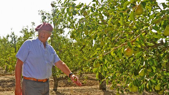 Fernando Mattos, ministro de Ganadería. Foto: Presidencia Fernando Mattos, ministro de Ganadería. Foto: Presidencia