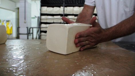 Hoy la producción agroecológica ocupa una porción minoritaria en Uruguay. Foto: Nicolás Der Agopián / Búsqueda