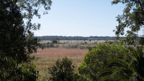 Humedales de Santa Lucía. Humedales de Santa Lucía.