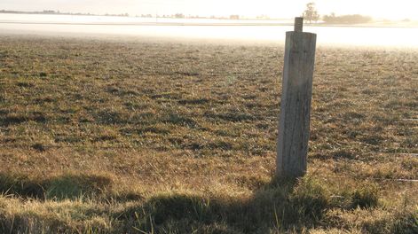 Foto: Nicolás Der Agopián / Búsqueda