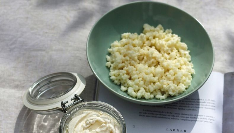 imagen de De levaduras, mohos y bacterias que enriquecen los alimentos