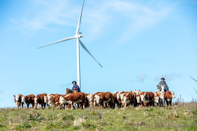La reconversión energética de Uruguay es un logro de primera magnitud. Nos ha convertido en ese aspecto en la Dinamarca del hemisferio sur. Nos deja bien en cualquier conversación social o comercial con un extranjero.&nbsp;Podemos ser energéticamente intensivos sin aumentar emisiones, y el país se ahorra millones de dólares usando los gratuitos vientos y el libre sol en vez de comprar crudo a alguno de los tantos tiranos del mundo que sostienen sus autoritarismos perforando la Tierra y sacando el líquido negro y viscoso.Es bastante evidente que las energías limpias son mejores que las sucias. Y aunque se las acusa de ser poco estables, porque a veces está nublado y a veces no sopla el viento, y el cómo acumular estas energías es todavía un desafío técnico, esos problemas son relativos.&nbsp;Depender del precio del petróleo, tan impredecible por definición, no es una buena estrategia. Un misil disparado por cualquiera de los bandos en disputa hace subir los costos de producción de una forma inexorable.Hasta ahí todo va bien. Pero a la hora de los costos, la mochila de la electricidad se mantiene con su peso sobre los hogares y las empresas. Es cierto que ha sido una política de Estado que suba cada año menos que la inflación, pero también lo es que en la comparación regional la brecha no logra achicarse.&nbsp;De acuerdo con los datos de SEG Ingeniería, el megavatio industrial tuvo en agosto un precio de US$ 141, contra US$ 115 de Brasil, US$ 96 de Argentina y despegado Paraguay, con US$ 39. Solo Chile es más caro: a US$ 174 (ver cuadro).En los hogares, la comparación regional nos deja últimos. Los hogares uruguayos pagan US$ 269 por megavatio, frente a US$ 258 de Chile, US$ 203 de Brasil y, despegados, Argentina US$ 112 y Paraguay US$ 68.&nbsp;Tomemos a Paraguay como un caso excepcional, por contar con una gran represa, como Yaciretá, y por ser un país de bajos impuestos y bajos servicios estatales. La paridad con Argentina y Brasil debería ser un objetivo. Competir en igualdad de condiciones y dar a los hogares la prestación de la electricidad al mismo precio de los vecinos.&nbsp;Más allá de que la paridad haría honor al espíritu de la integración regional, sería una demostración más trascendente de que salirse de las energías sucias es posible, sin incrementar los costos a los usuarios. Que ser “verde” no significa ser más caro. Que la sostenibilidad ambiental es compatible, o aun sinérgica con la sostenibilidad económica.Y si eso no pasa, no es porque la energía renovable no sea competitiva frente a la generación eléctrica a partir de petróleo o carbón. Las tarifas son altas por la gran cantidad de dinero que UTE vuelca a las arcas del Estado. Ese es el primer gran logro que por ahora da frutos pequeños. Al menos para los usuarios. Para el Estado, en el primer semestre de este año el ente estatal significó una ganancia de US$ 170 millones.&nbsp;&nbsp;Un proceso gradual de baja de tarifas y moderación de las ganancias probablemente reportaría al Estado más ingresos por impuestos a la renta pagos por las empresas, y más IVA aportado por usuarios que gastarían algo menos en sus tarifas eléctricas y algo más en otros bienes, que probablemente podrían dinamizar la economía.&nbsp;Esto podría redundar, por ejemplo, en más inversiones en aquellos sectores que tienen un uso intenso de energía, como tambos y productores arroceros. Y sería un engranaje clave en la adopción del riego.&nbsp;Pero, de nuevo, lo principal es que demostraría la superioridad de energías limpias y modernas ante las fósiles, que deben quedar obsoletas.En este período de gobierno hay una apuesta fuerte a convertir a Uruguay en un país con inflación del primer mundo. Tengo la impresión de que la meta ya alcanzada de 4,5% será solo una escala antes de ir a objetivos más ambiciosos, probablemente más cerca del 3,5%.&nbsp;Si el precio del petróleo se mantiene estable y no hay una disrupción climática que dispare el precio de los productos volátiles, como frutas y verduras, con este dólar planchado en $ 40 es una meta alcanzable.&nbsp;Como en el caso de la energía, puede ser algo que nos deje muy bien conversando con extranjeros al contarles que nuestra inflación es menor a 4%, pero para el sector agropecuario será otro gran logro de frutos pequeños.&nbsp;Eso no tiene por qué ser así. En particular, en el proceso macroeconómico de Uruguay, en el que tan destacable es bajar la inflación. Como en el logro energético, si la exportación no gana al menos el beneficio de la flexibilidad cambiaria, será una victoria pírrica, en la que no habrá mucho para festejar.&nbsp;Sin embargo, si la lógica del tipo de cambio pasa a ser la de Australia y Nueva Zelanda, donde la moneda incorpora las señales positivas o negativas de las materias primas para amortiguarlas, será un gran logro.Tanto en Australia como en Nueva­ Zelanda, el valor de la moneda se adapta a las circunstancias. Cuando para los productores y la economía la perspectiva es oscura, y de menor venta, el tipo de cambio se deprecia.&nbsp;Simplificadamente, en aquellos países el valor de la moneda actúa como un premio natural, que amortigua los malos tiempos, para valorizarse luego, cuando hay buen precio o buena producción, y a través del tipo de cambio.