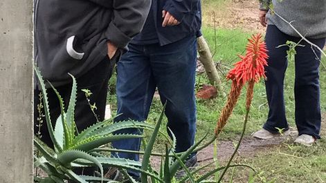 imagen de Cuatro películas sobre Mujica serán estrenadas antes de las  próximas elecciones y oficialismo busca lograr rédito electoral