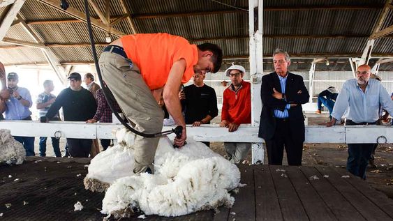 El ministro de Ganadería, Fernando Mattos, en el lanzamiento de la Zafra Ovina 2024, la semana pasada en Paysandú El ministro de Ganadería, Fernando Mattos, en el lanzamiento de la Zafra Ovina 2024, la semana pasada en Paysandú