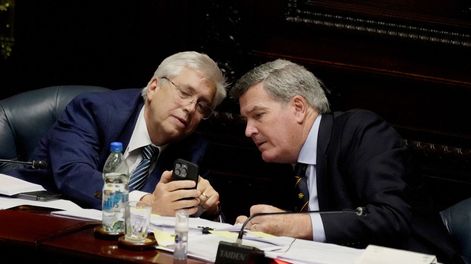 Tabaré Viera y Pedro Bordaberry, senadores colorados de Vamos Uruguay.