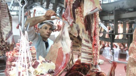 La carne es el producto de mayor peso en las exportaciones y los aranceles pagados en China. Foto: Nicolás Der Agopián / Búsqueda