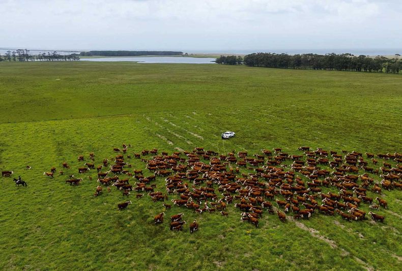 El monto de la recaudación de impuestos sobre la tierra durante este año es de $ 8.800 millones, unos $ 200 millones más que en 2023, informó Opypa