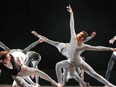 imagen de Danza contemporánea del mundo al Teatro Solís, el arte de Guadalupe Ayala, la vuelta de Árbol y otro texto de Zúñiga imagen de Danza contemporánea del mundo al Teatro Solís, el arte de Guadalupe Ayala, la vuelta de Árbol y otro texto de Zúñiga