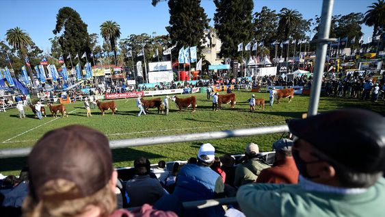 Expo Prado en la Rural del Prado, Montevideo Foto: Daniel Rodríguez / adhocFOTOS Expo Prado en la Rural del Prado, Montevideo Foto: Daniel Rodríguez / adhocFOTOS