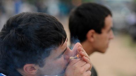 imagen de “Vázquez debe derogar la distribución masiva de cannabis y dar un nuevo ejemplo de coraje cívico en defensa de la salud pública”