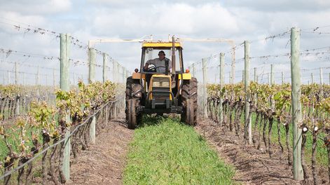 Foto: Ricardo Antúnez / adhocFOTOS