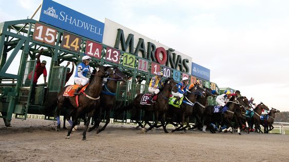 La sociedad explotadora del Hipódromo de Maroñas regresa al mercado bursátil La sociedad explotadora del Hipódromo de Maroñas regresa al mercado bursátil