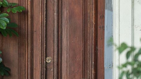 imagen de Jimena Márquez:  La llegada del teatro al carnaval trajo mucha belleza a los ojos