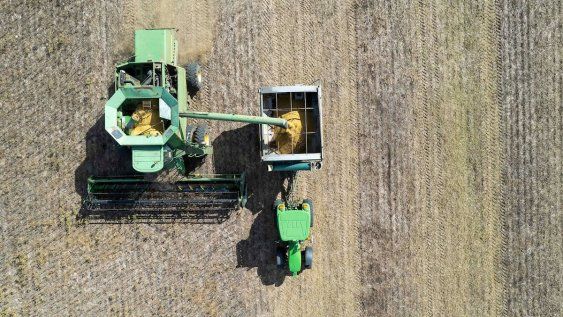 Zafra de soja Zafra de soja