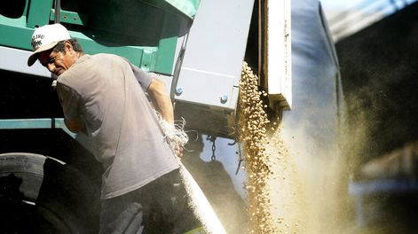 Trabajador en el puerto de Montevideo. Foto: Javier Calvelo / adhocFOTOS
