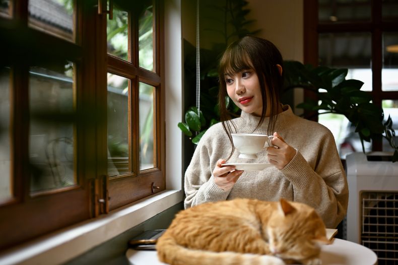 El género Healing Fiction suele incluir ingredientes como café, libros, gatos y mujeres solitarias.