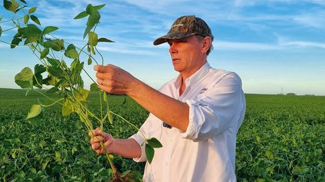 Bremermann concluyó que el cierre del ejercicio 2023-2024 es positivo, aunque no compensa la caída de 2022-2023