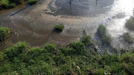 Para denunciar la contaminación del agua en Tacuarembó, vecinos presentaron fotos a la Dinama Para denunciar la contaminación del agua en Tacuarembó, vecinos presentaron fotos a la Dinama