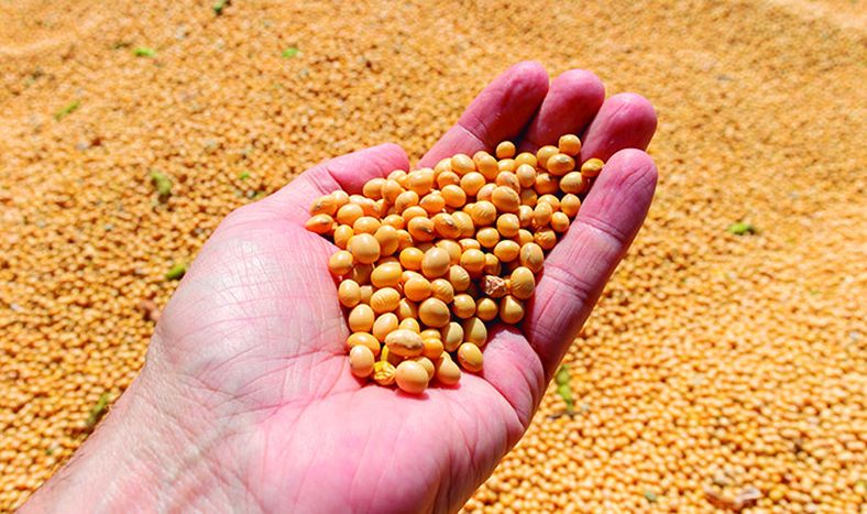 &nbsp;El 61% de las empresas agrícolas-ganaderas de Fucrea logró remunerar los costos de capital y tierra.