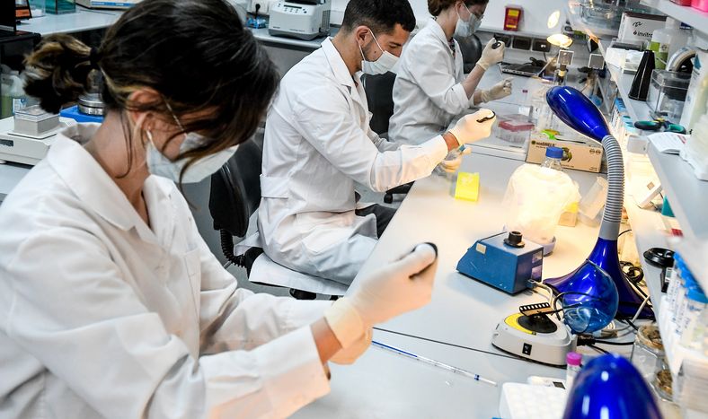 Investigadores en laboratorio del Instituto Pasteur de Montevideo