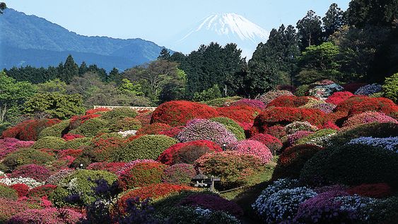 un viaje a hakone, el japon mas sereno y autentico un viaje a hakone, el japon mas sereno y autentico