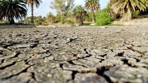 Sequía en el lago del Parque Rodó de Montevideo. Foto: Javier Calvelo / adhocFOTOS