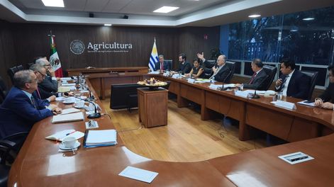 El ministro Alfredo Fratti y su equipo en la reunión con el secretario de Agricultura y Desarrollo Rural de México, Julio Berdegué, y sus colaboradores.