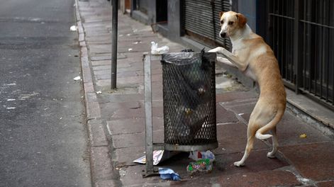 Foto: Nicolás Celaya / adhocFOTOS
