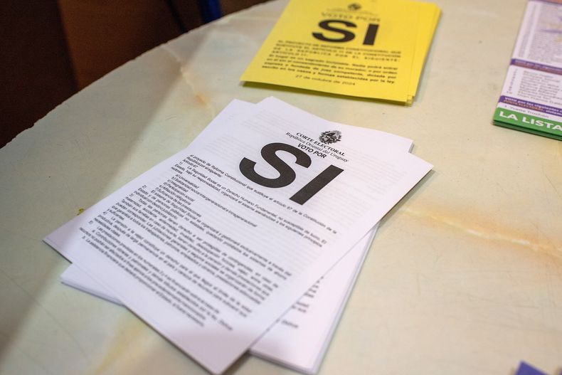 Los plebiscitos sobre seguridad social y allanamientos nocturnos no alcanzaron el respaldo suficiente