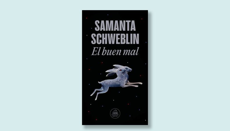 El buen mal - Samanta-Schweblin.jpg